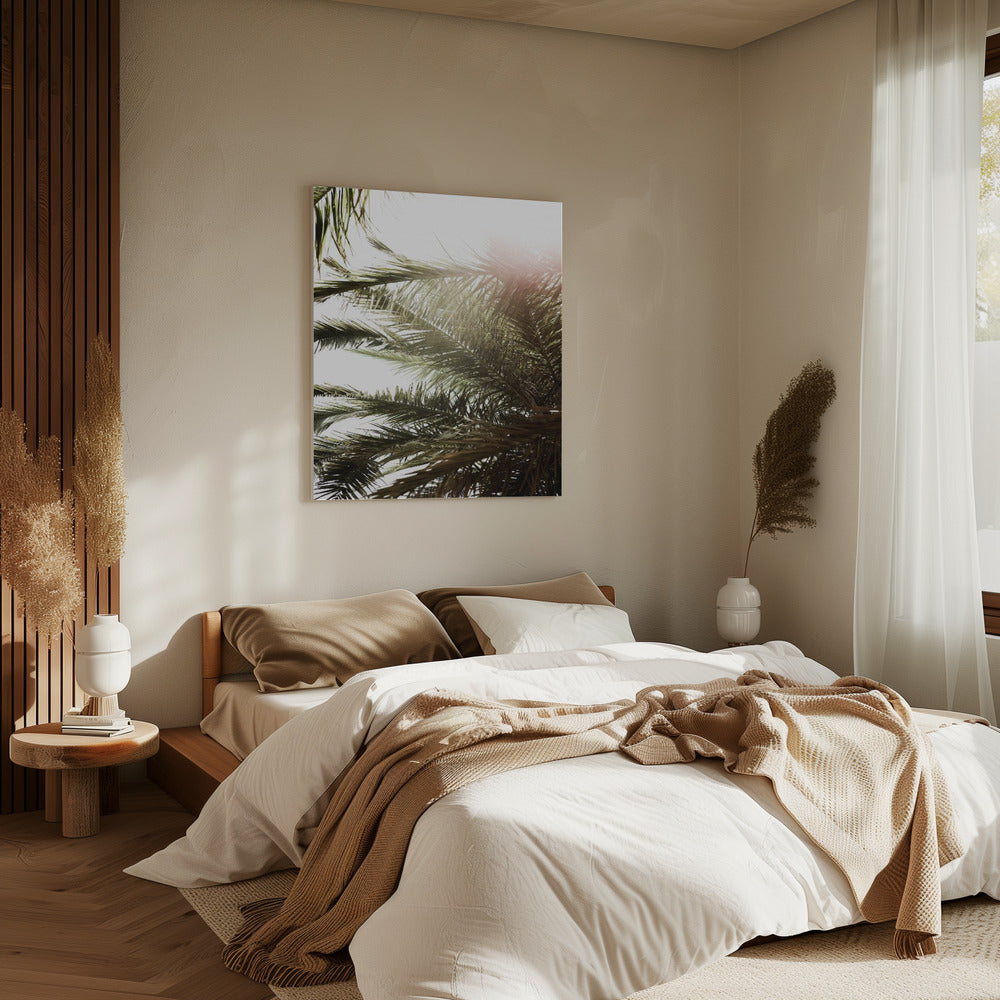 Sonnenbeschienenes Palmenglühen | Leinwand