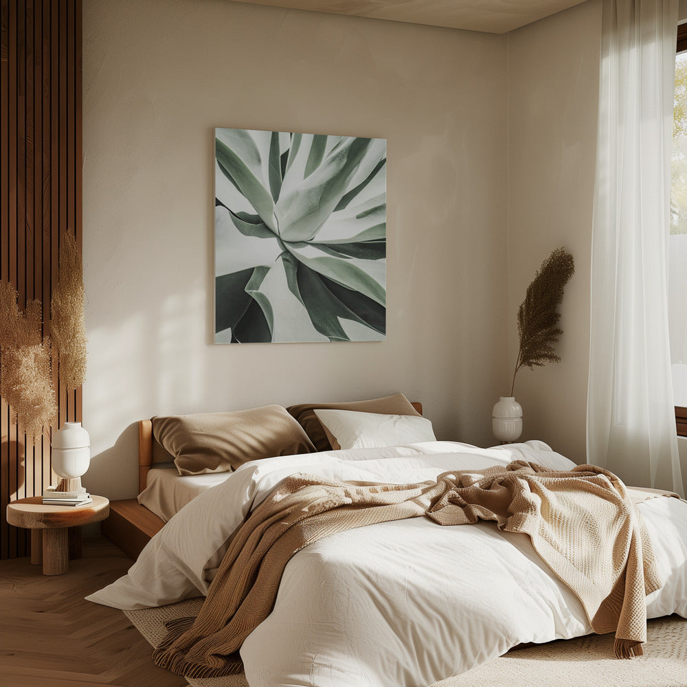 Succulent Harmony | Canvas
