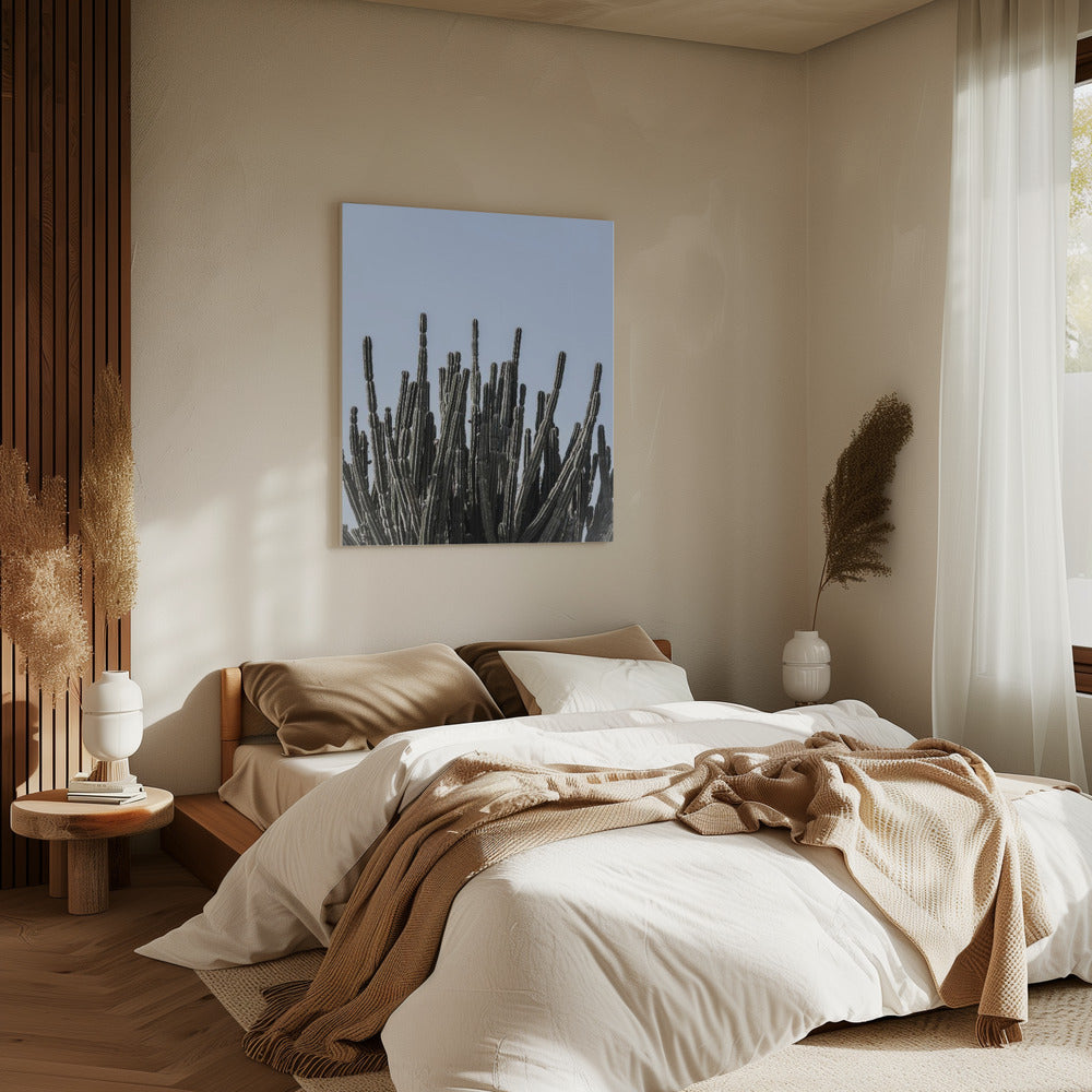 Cactus Symphony | Canvas