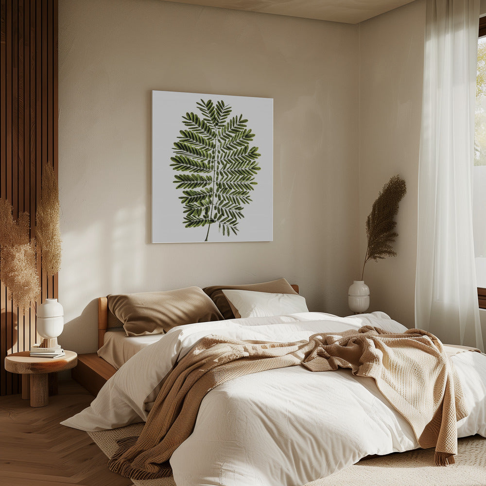 Fern&#039;s Symphony | Canvas