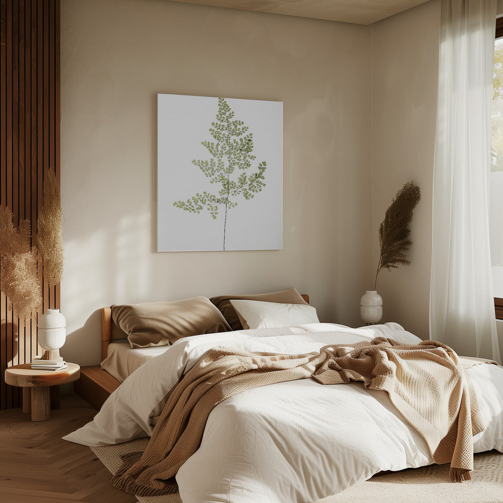 Fern Elegance | Canvas