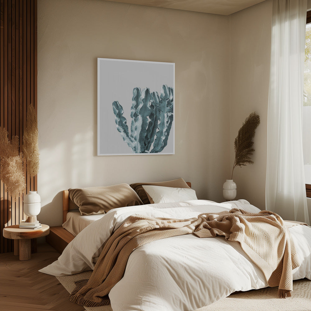 Kaktus Eleganz | Leinwand