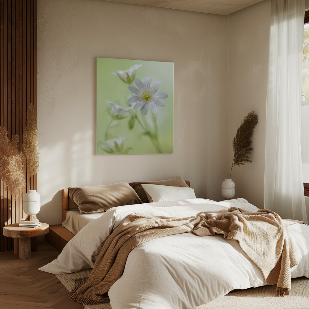 Frühlingsglanz | Leinwand