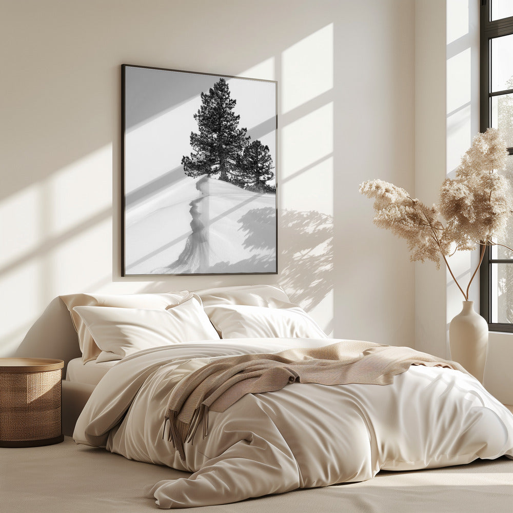 Über Schnee und Formen | Poster