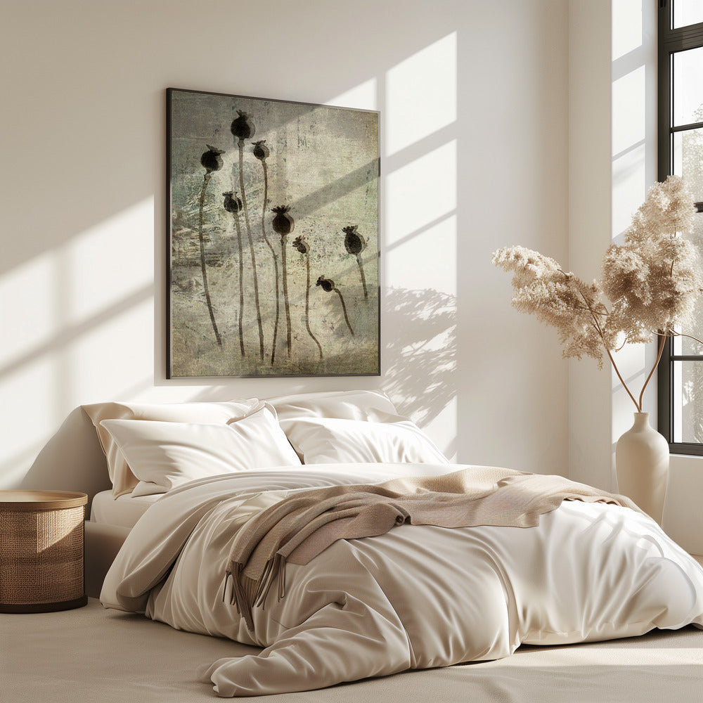 Poppy seedlings | Poster