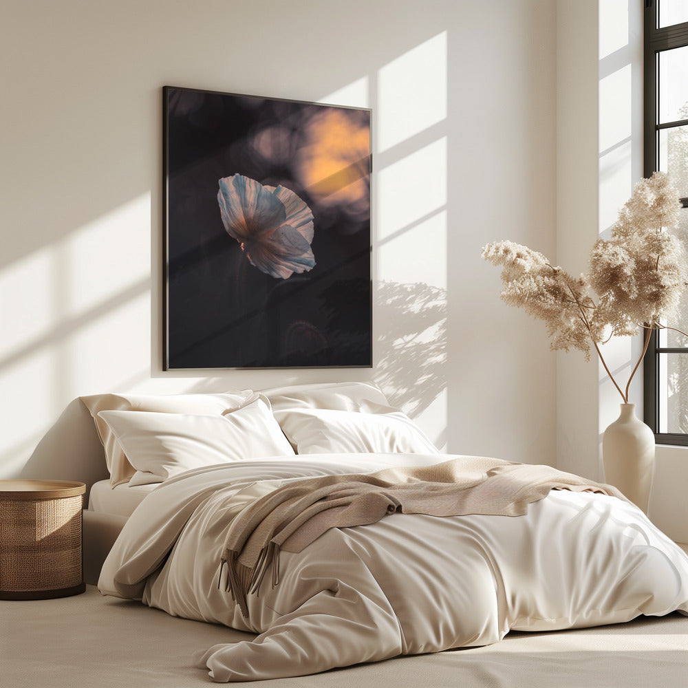 Letzter Strahl | Poster