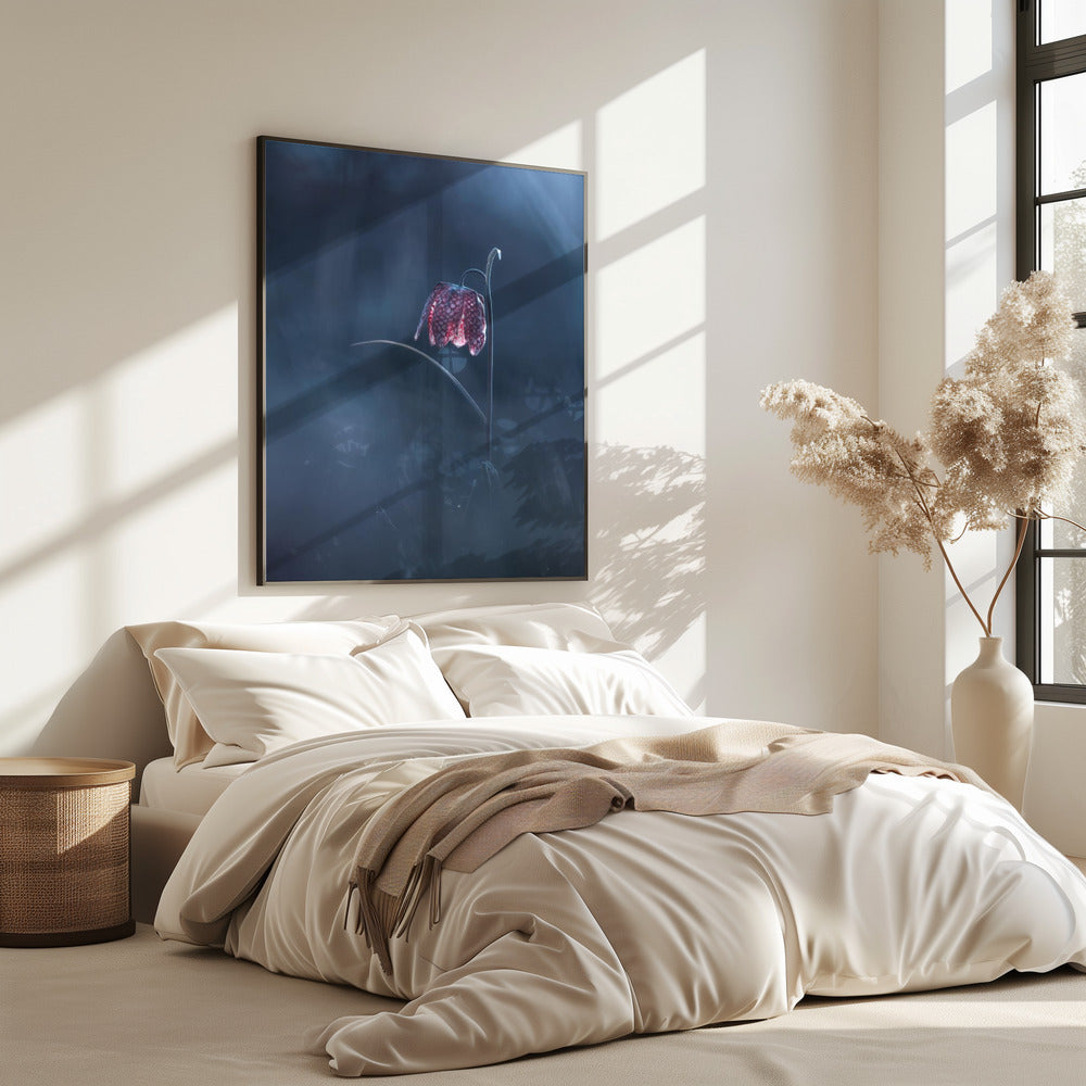 Vergängliche Fantasie | Poster