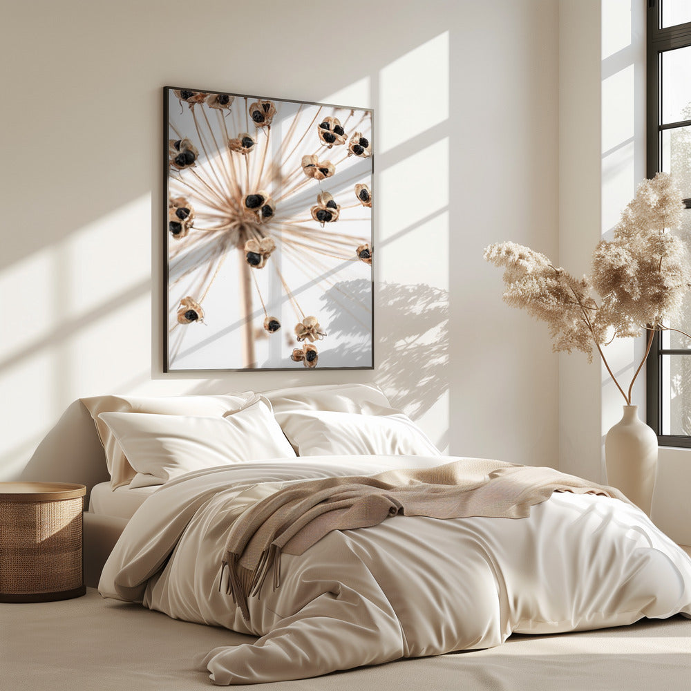 Dried_007 | Poster
