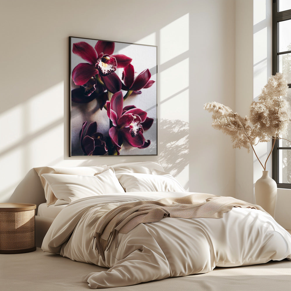 Orchideen-Eleganz | Poster