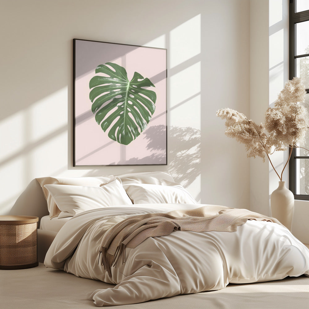 Monstera Blatt Blush | Poster