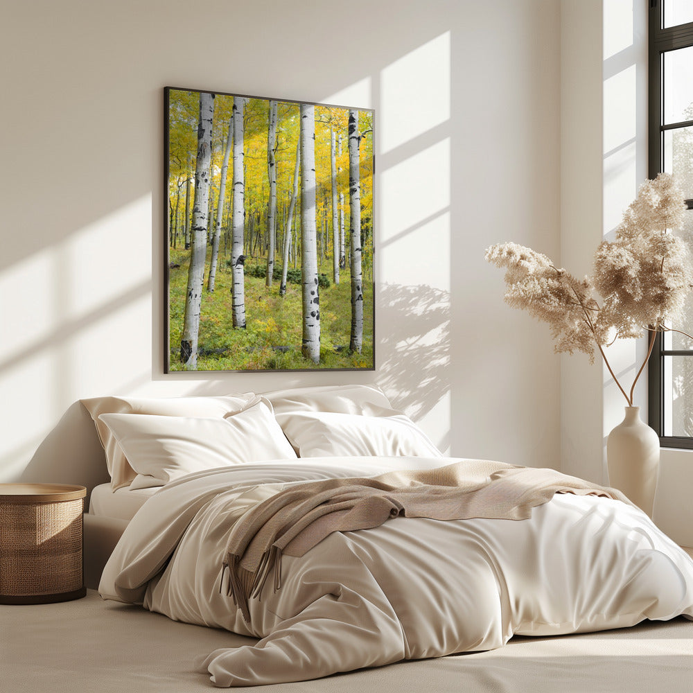 Gelbe Birken vertikal | Poster