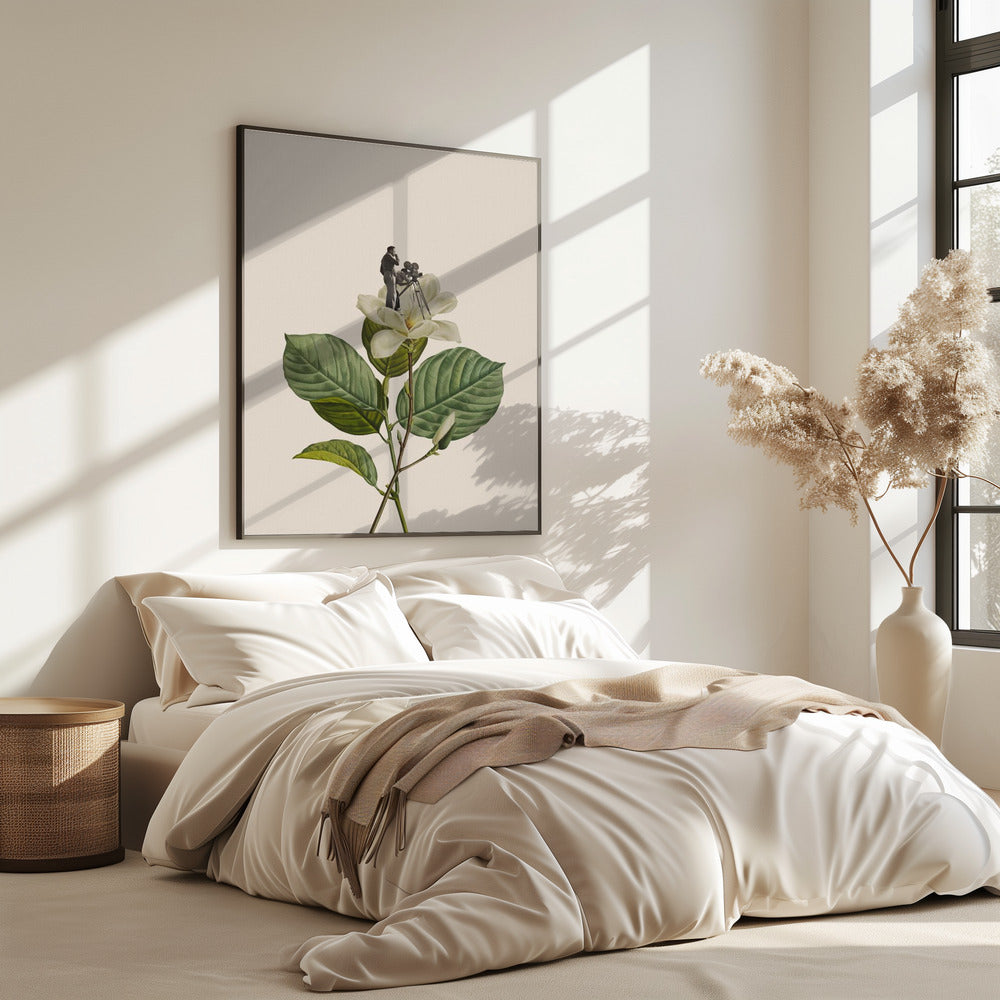 Botanischer Vintage-Kameramann | Poster