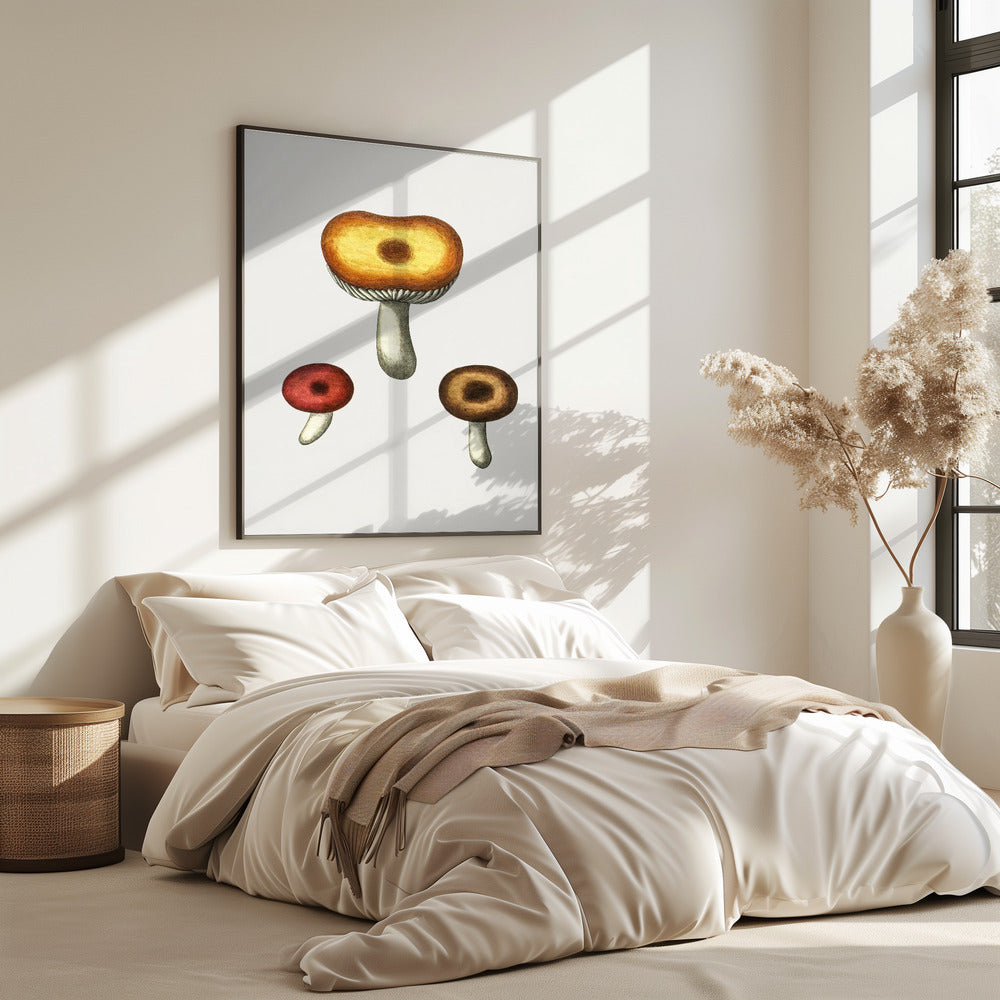 Handgezeichneter Galerina-Pilz | Poster