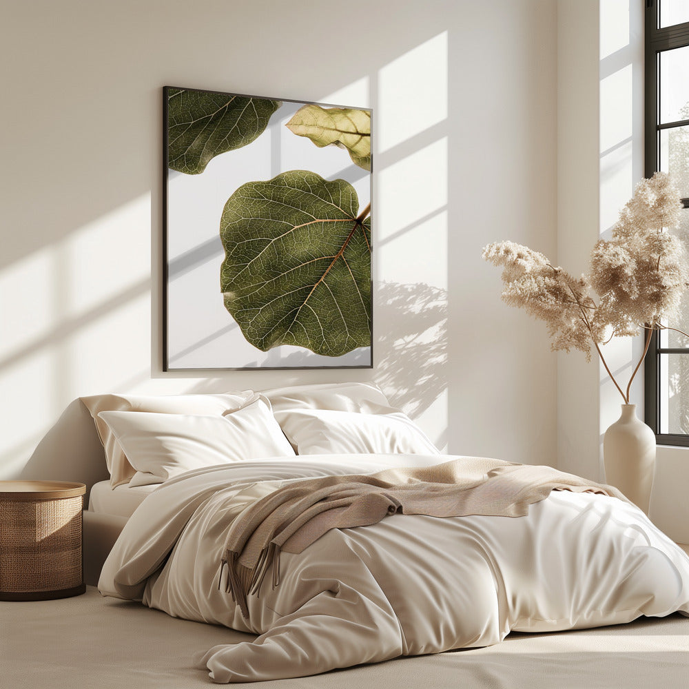 Blattadern-Wandteppich | Poster