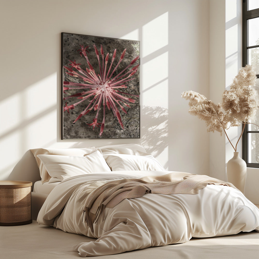 Radiant Blooms | Poster