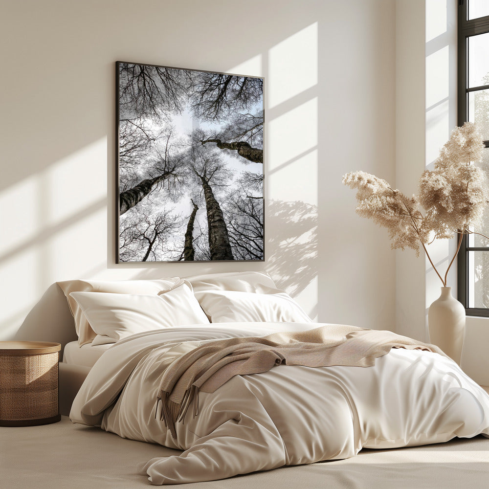 Winterumarmung | Poster