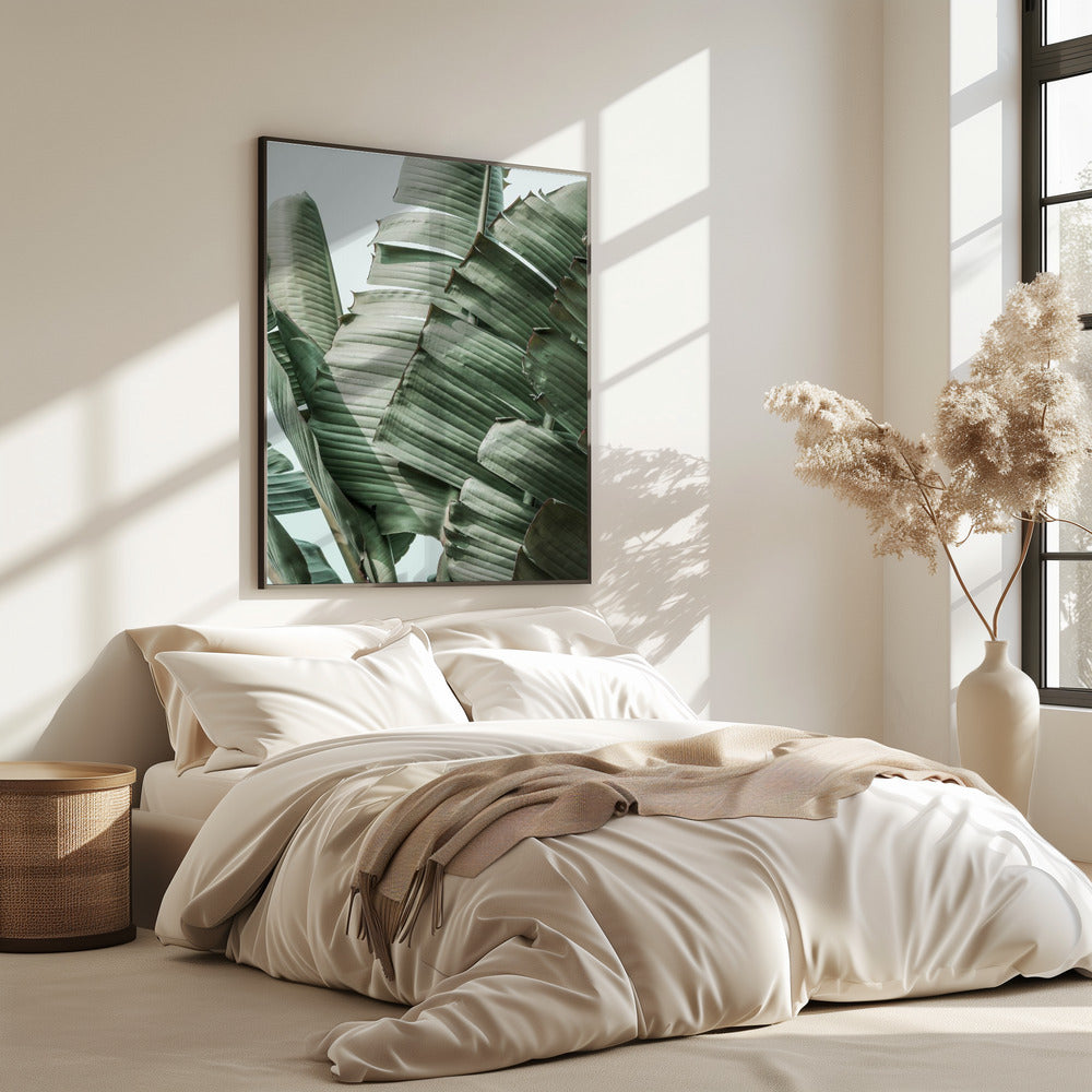 Bananenblatt-Harmonie | Poster