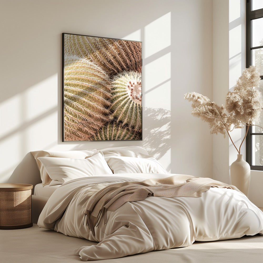 Spirale der Stacheln | Poster