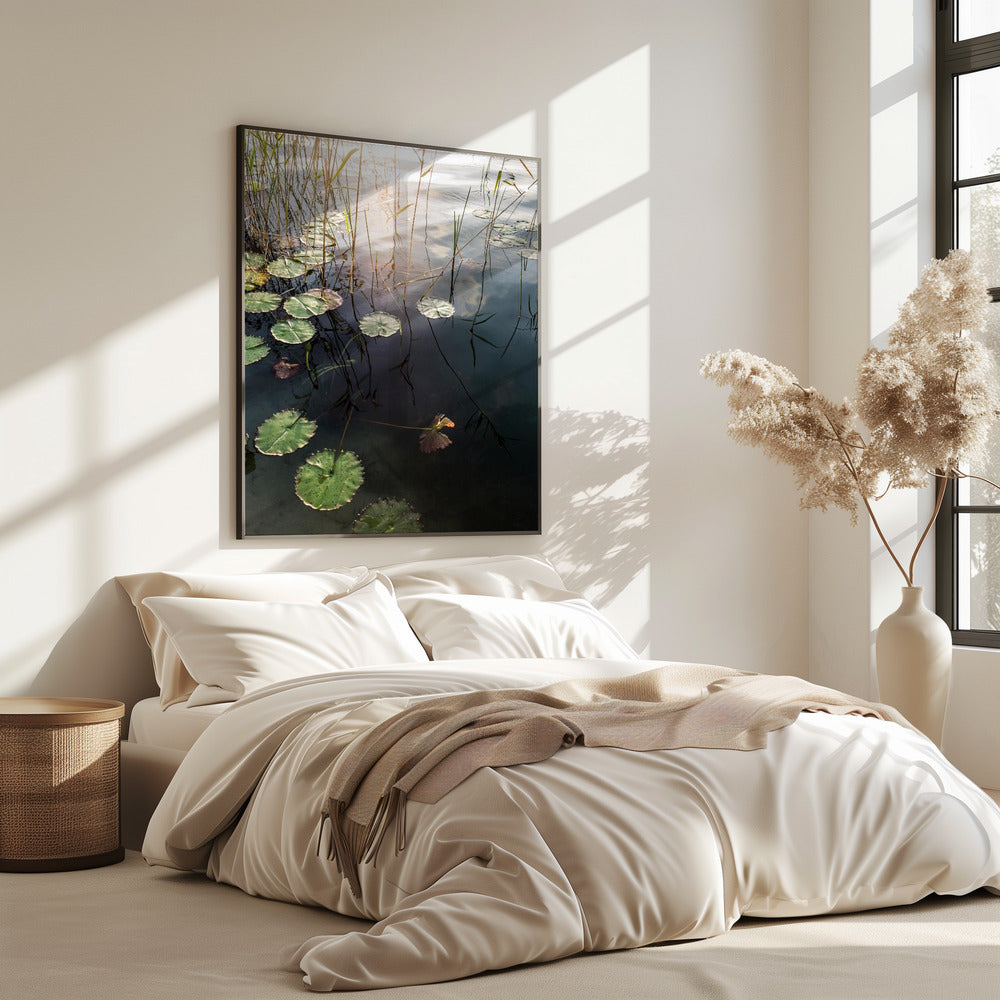 Lilys ruhige Morgendämmerung | Poster