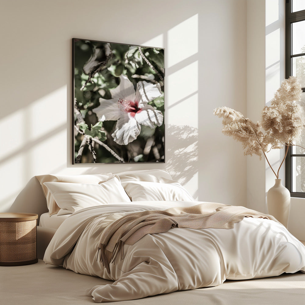 Flüsternde Blüte | Poster