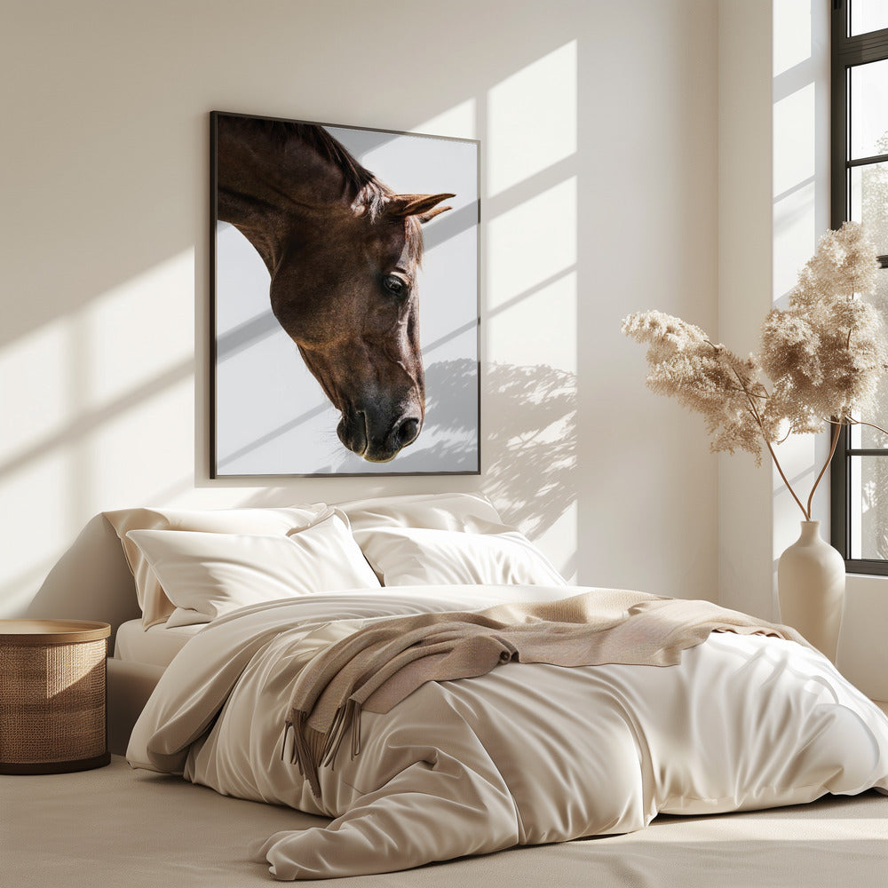 Portrait of a Horse Head | Poster