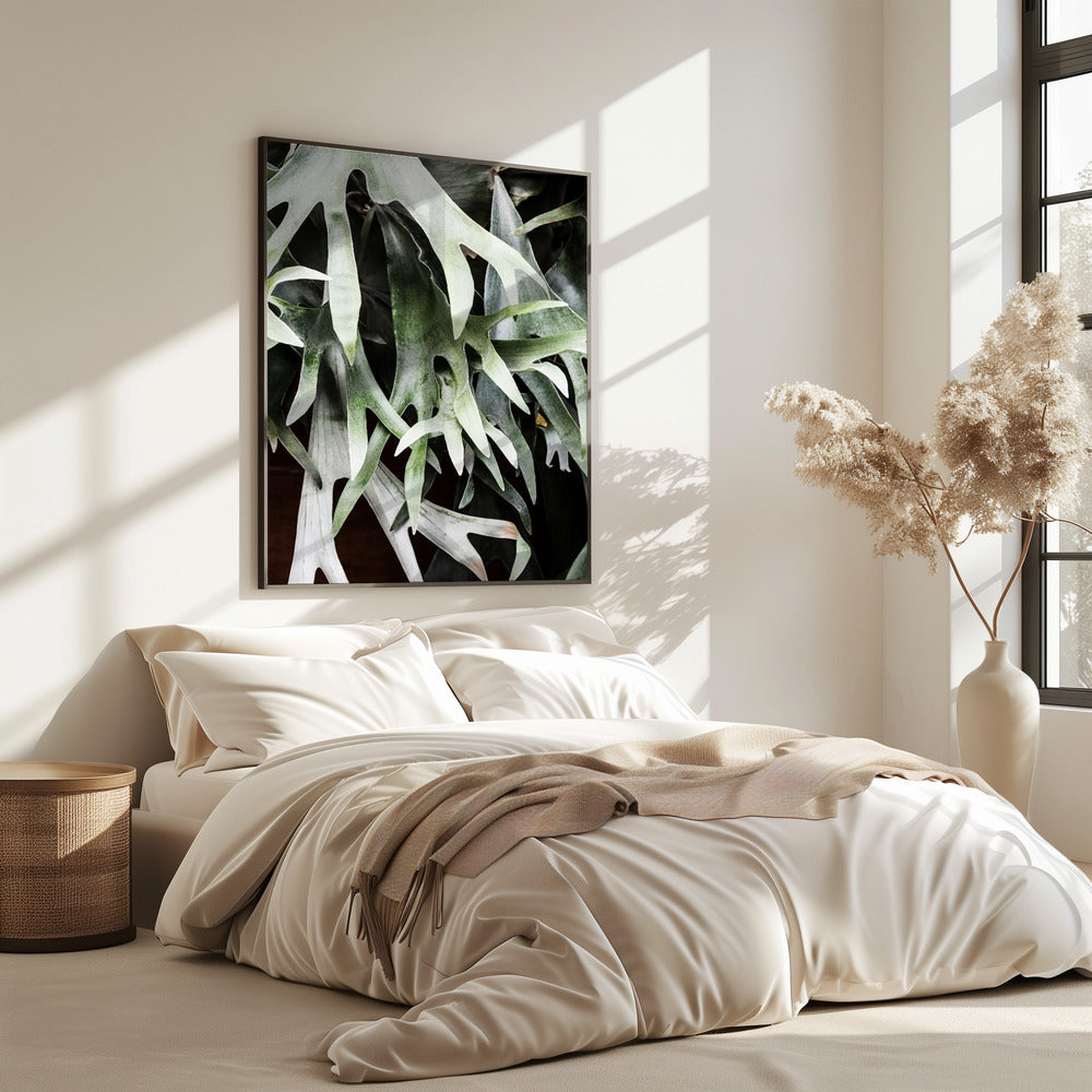 Enchanted Fronds | Poster