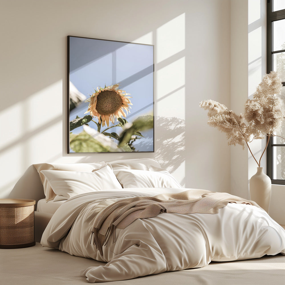 Goldener Blütenhimmel | Poster