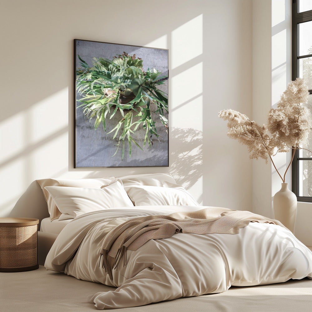 Wall Fern Delight | Poster