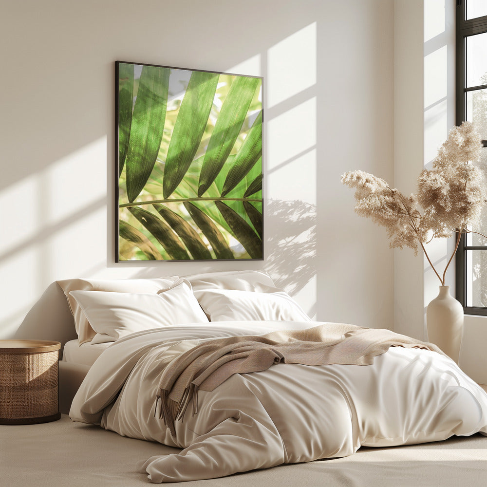 Schönheit der Palmblätter | Poster