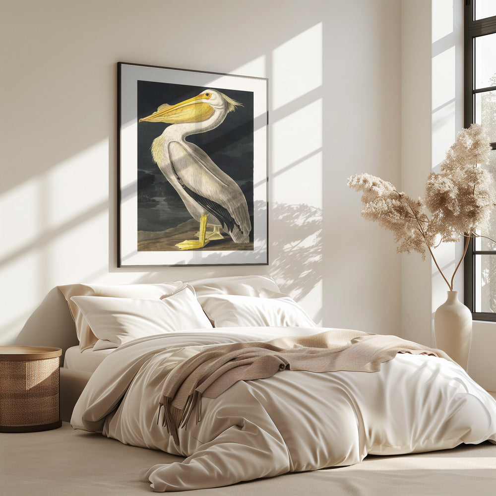 Amerikanischer Weißer Pelikan aus Birds of America (1827) | Poster