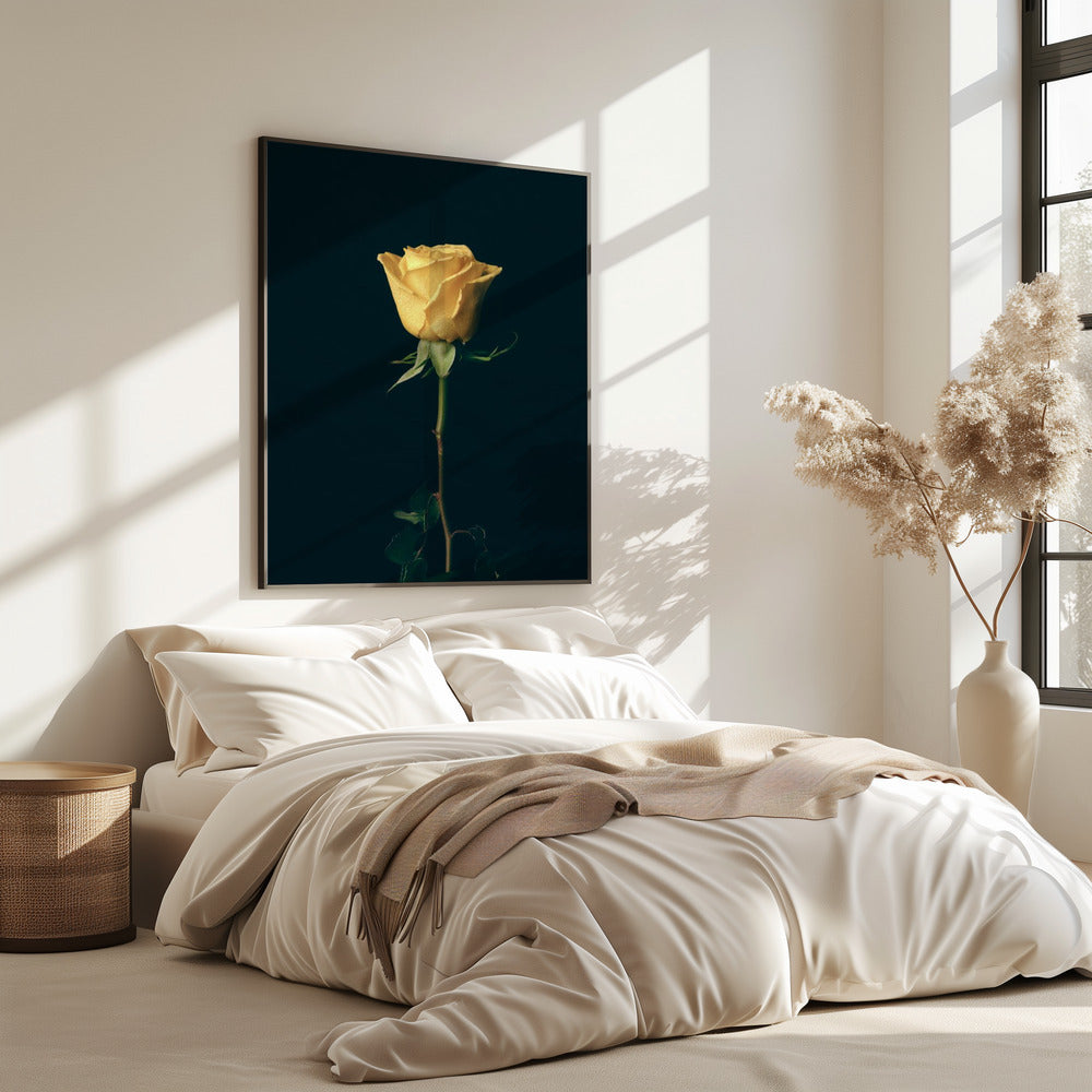gelbe Rose | Poster