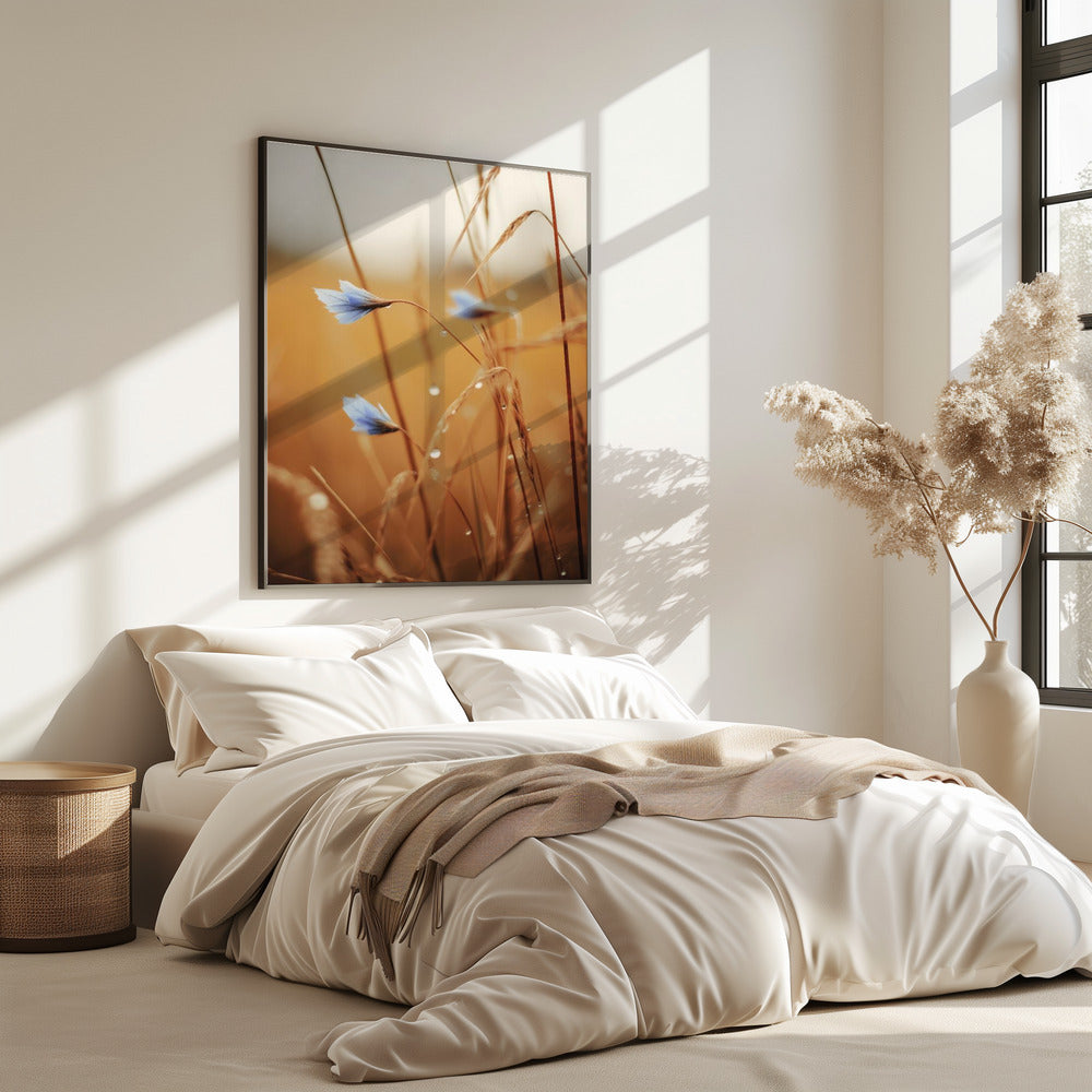 Blaue Blüten im Morgengrauen | Poster