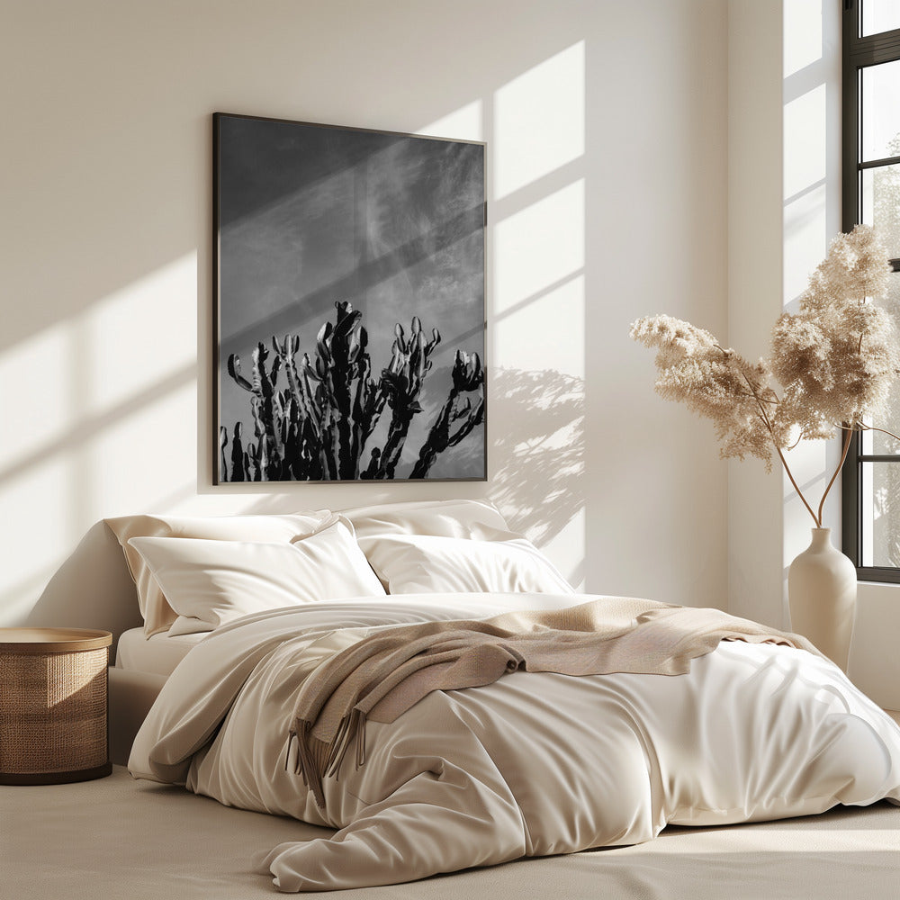 Monochromer Kaktushimmel | Poster