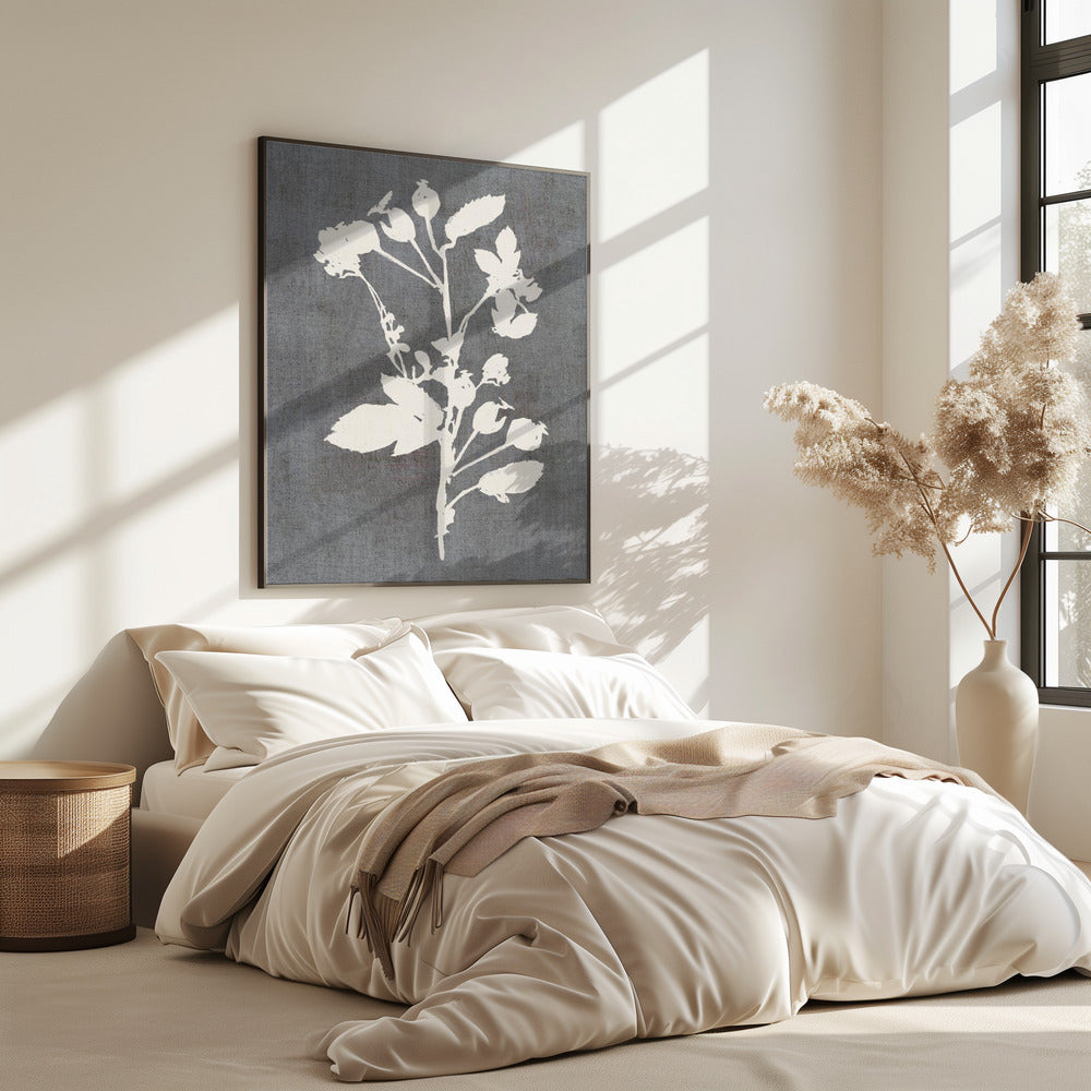 Botanische Illustration 6 | Poster