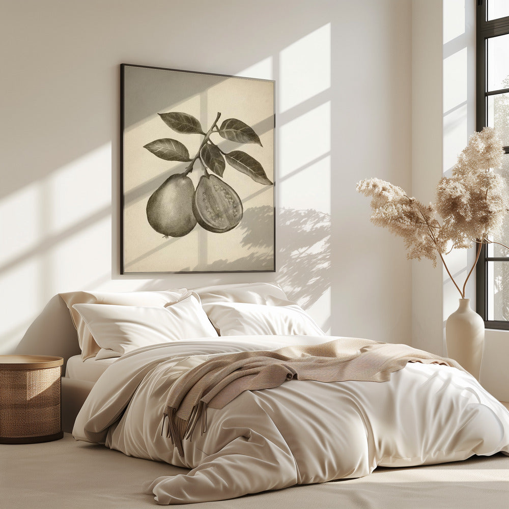 Vintage-Obst | Poster