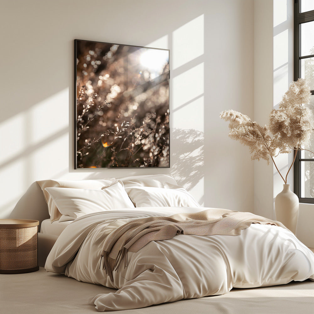 Warmes Winterlicht 6 | Poster