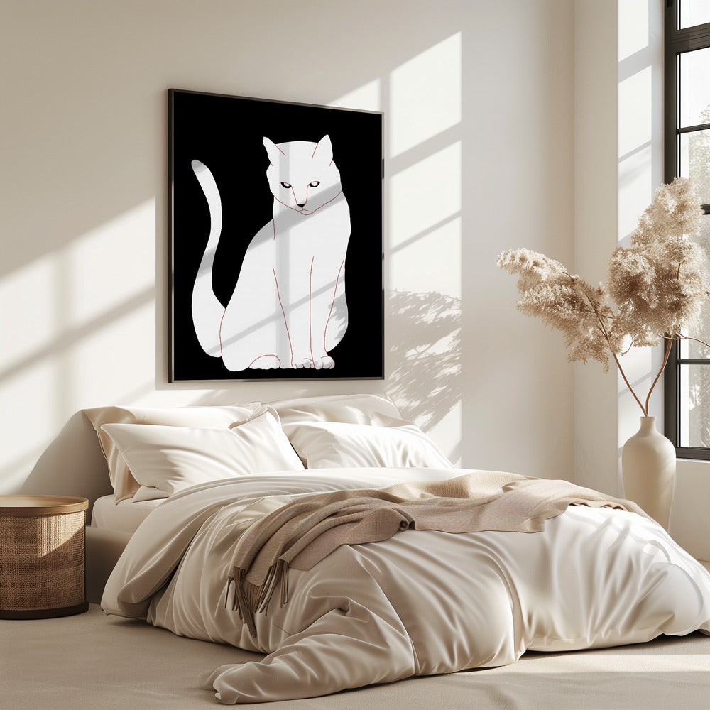 Weiße und schwarze Katze | Poster