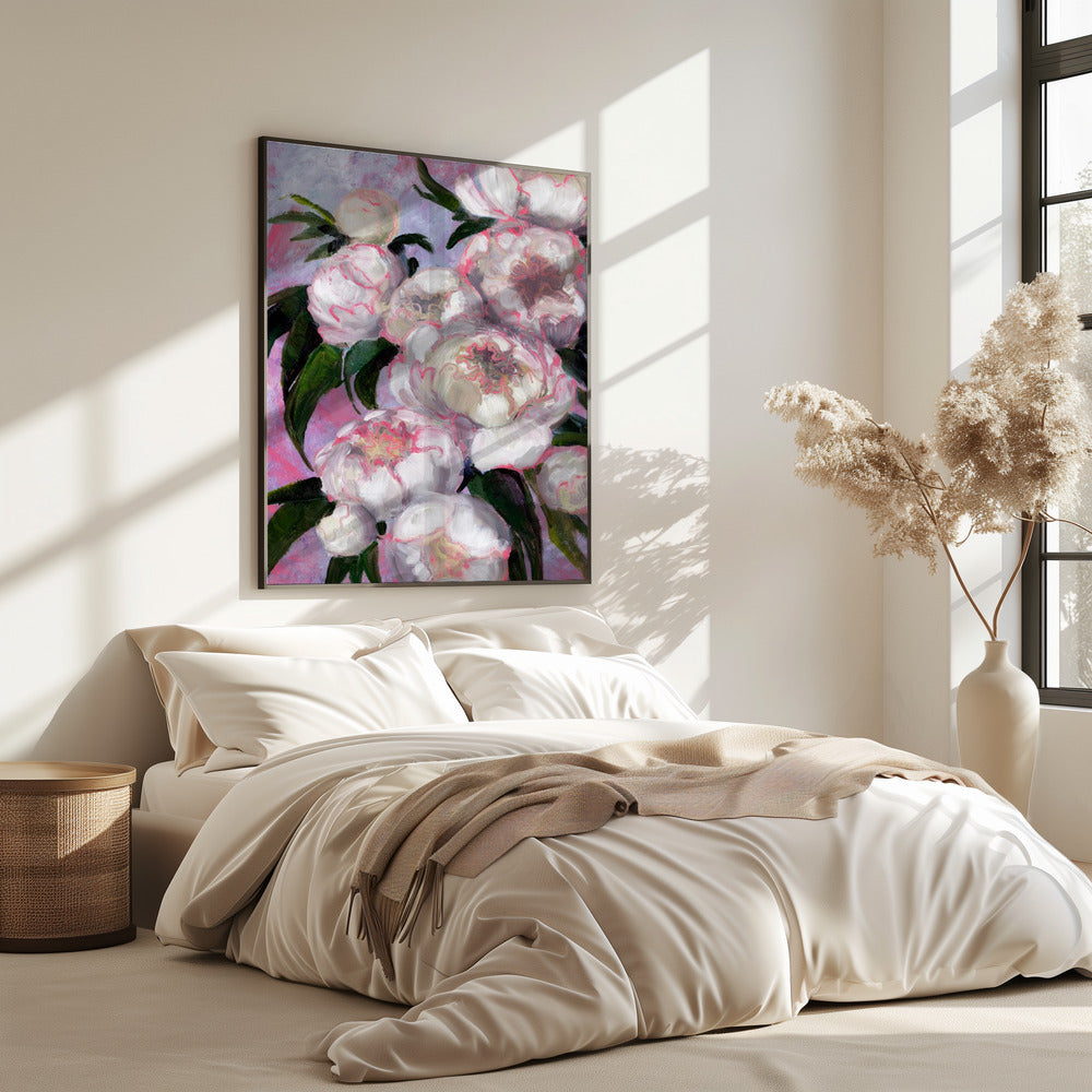Weiße Pfingstrosen mit rosa Highlights | Poster