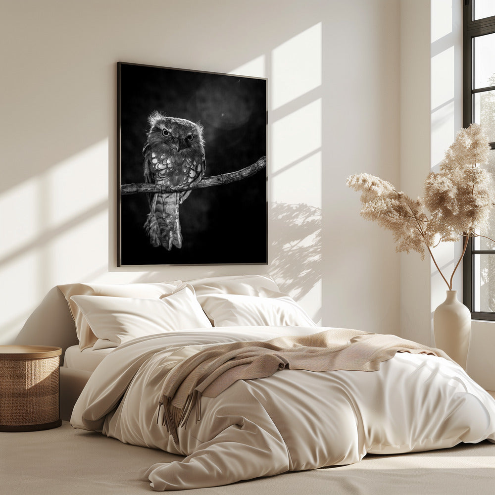 Allein in der Nacht | Poster