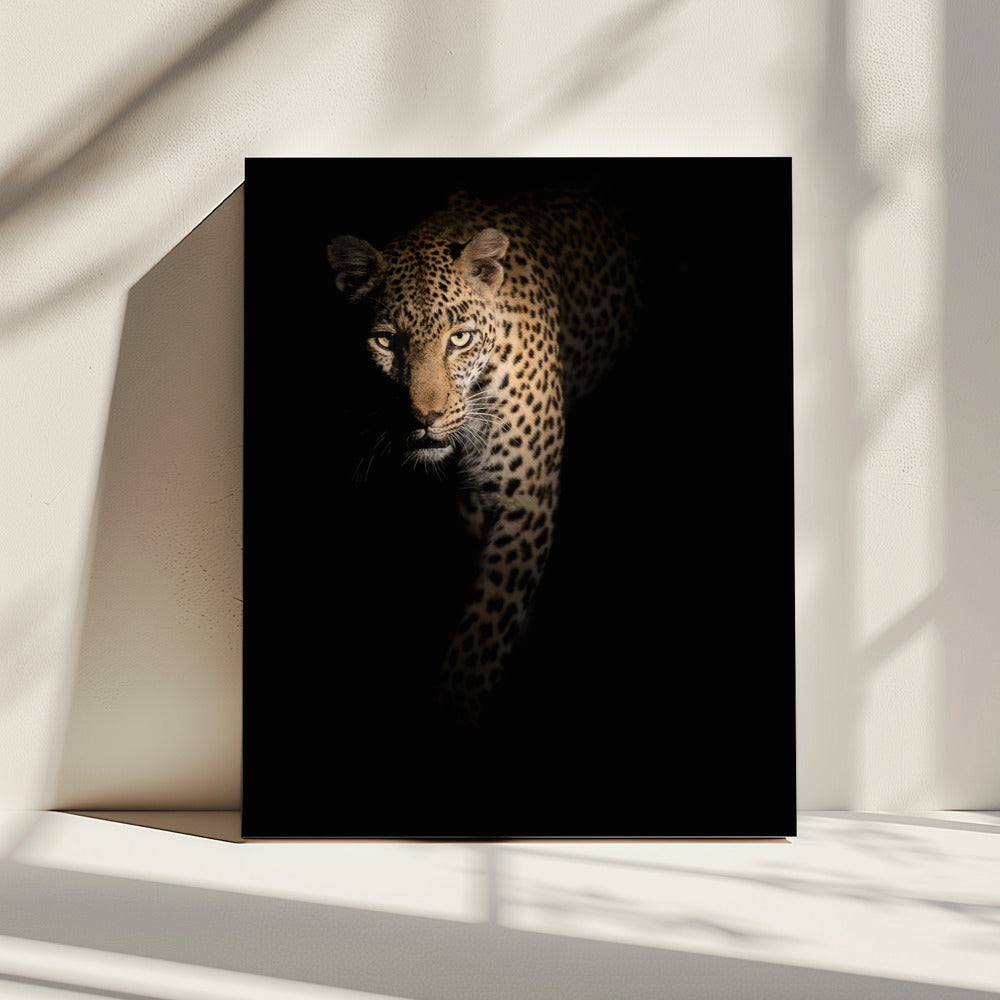 Out of the darkness | Canvas