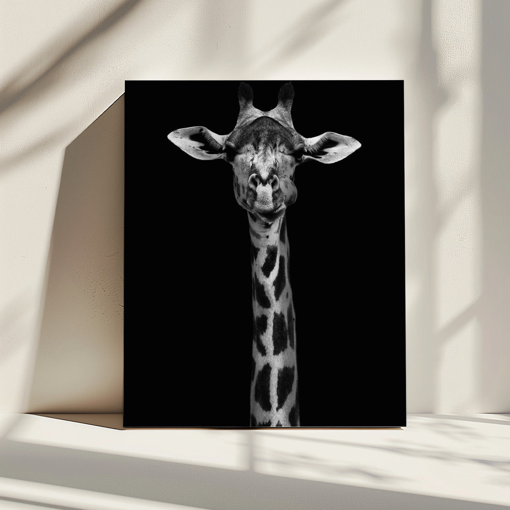 Giraffenportrait | Leinwand