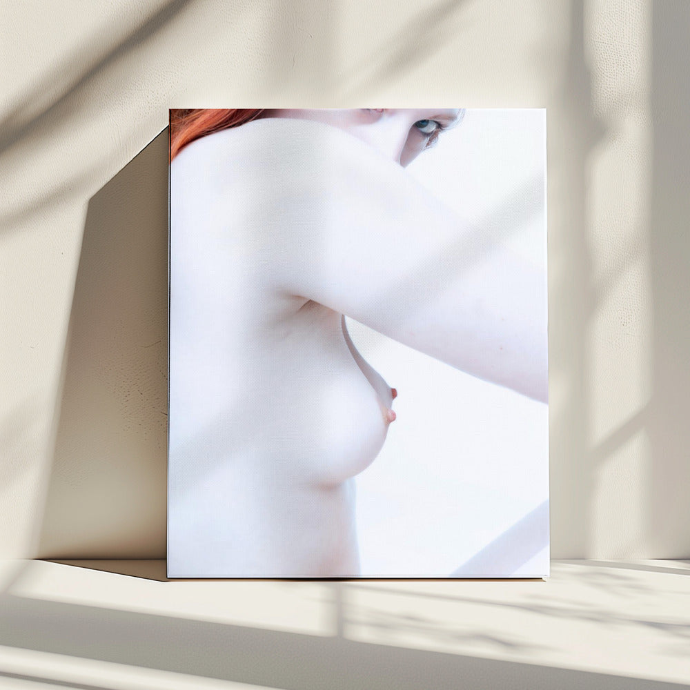 Formen und Kurven 1 | Leinwand