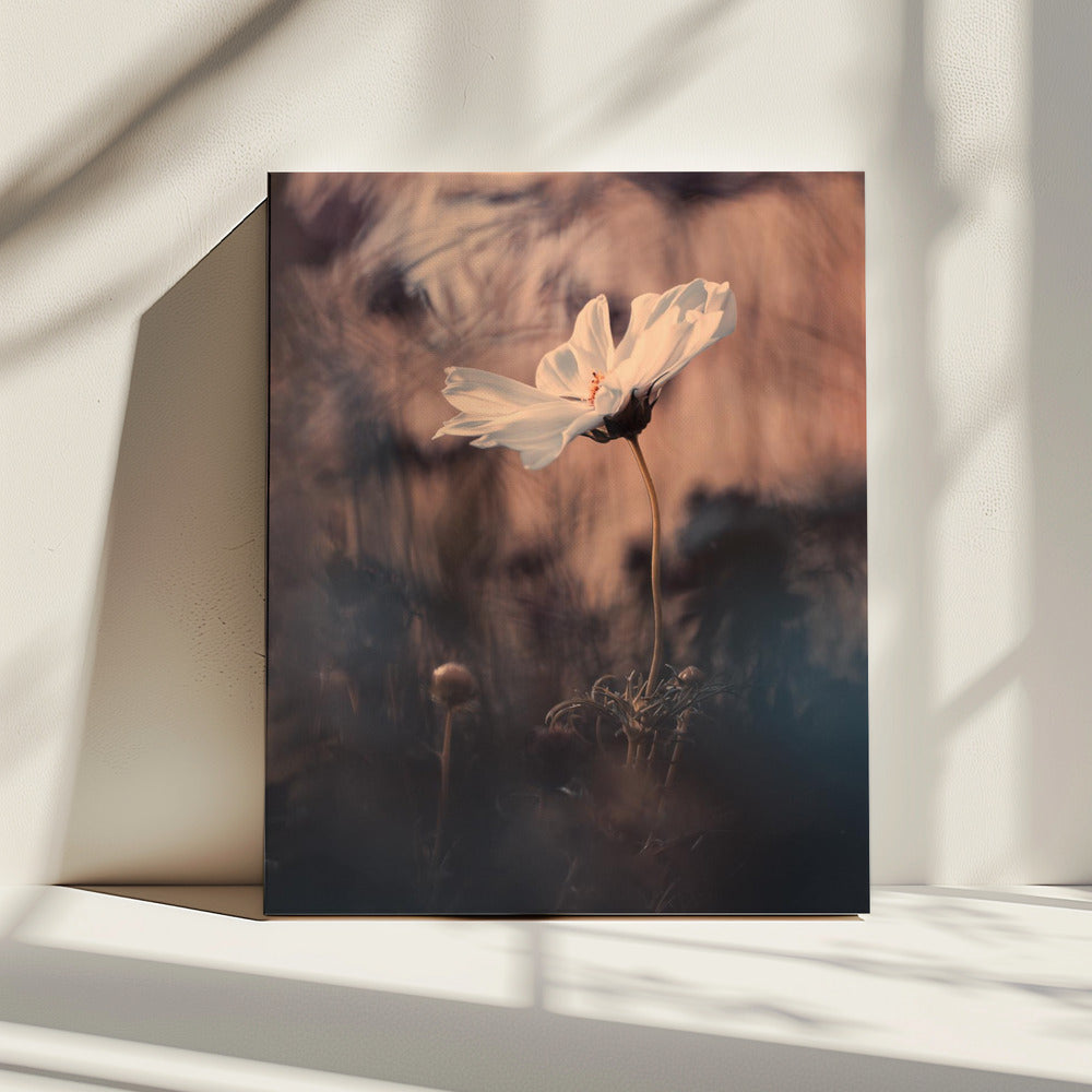 Die Braut | Leinwand
