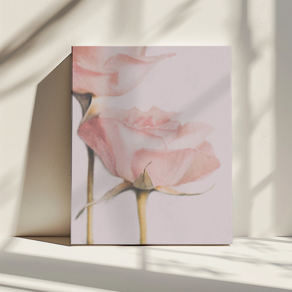 Zwei Rosen | Leinwand