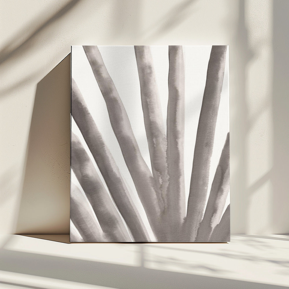 Aloe Vera | Leinwand