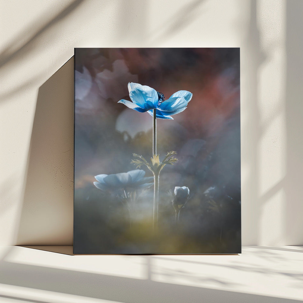 Blühen wie eine Blume | Leinwand