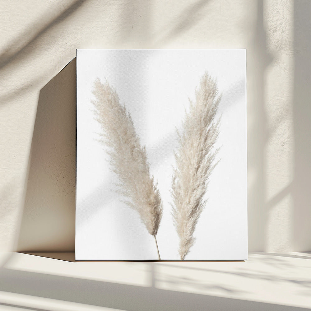 Pampas Weiß | Leinwand