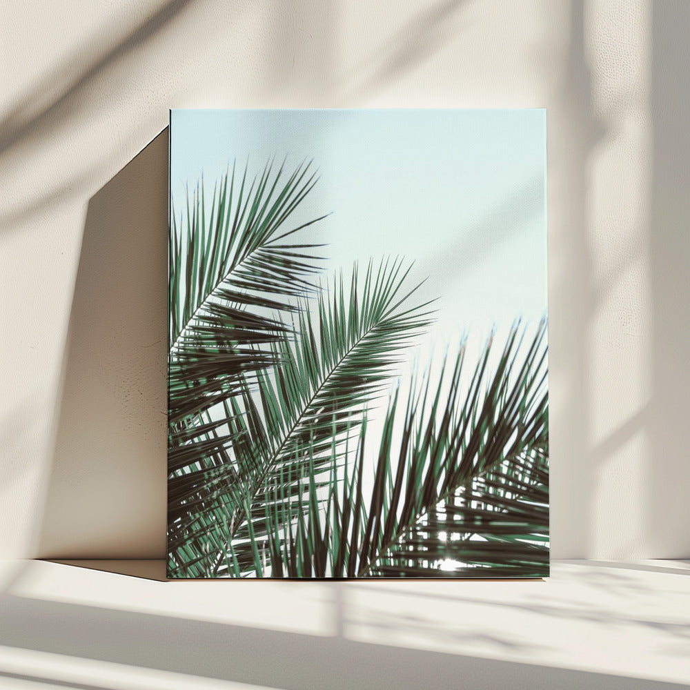 Palmblätter, Himmel_1 | Leinwand