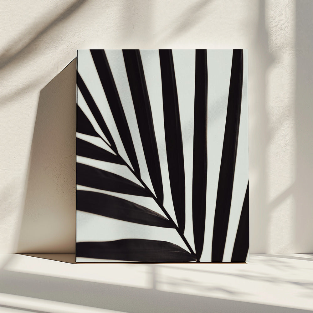 Grafik Palmblatt_1 | Leinwand