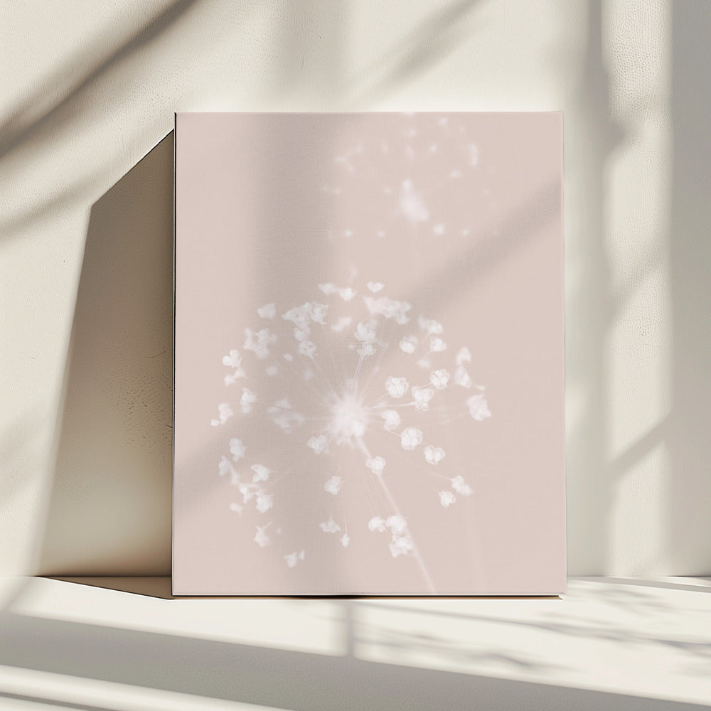Getrocknete Blume Rosa | Leinwand